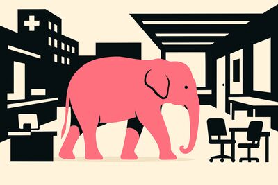 Roze olifant in GGZ-omgeving