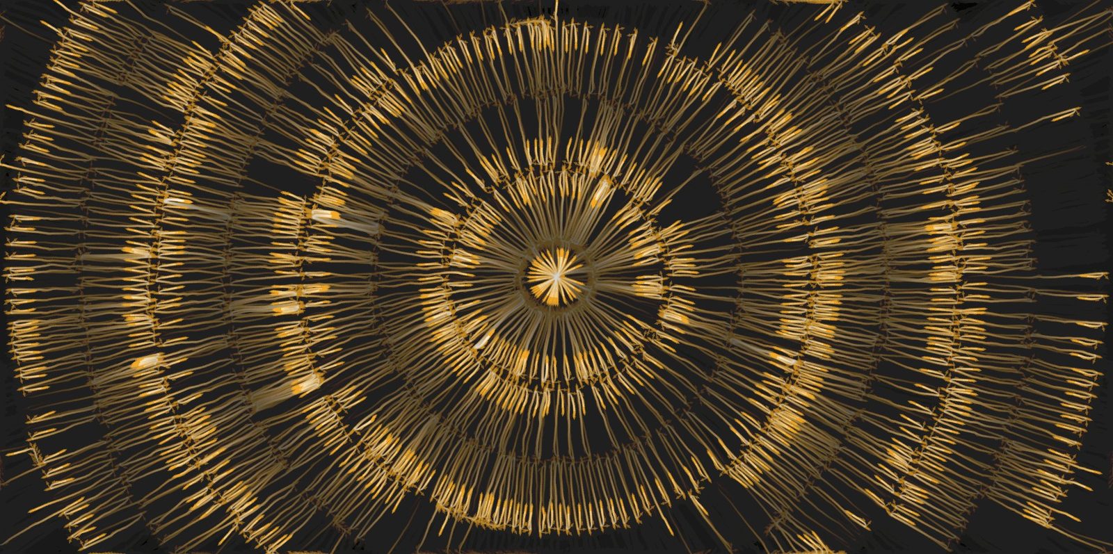 Radial coherence, from Gold Field Studies